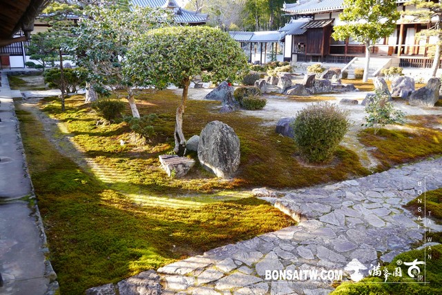 P1040476 [日本庭園]興聖寺
