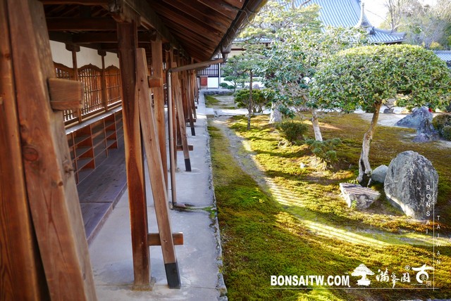 P1040477 [日本庭園]興聖寺