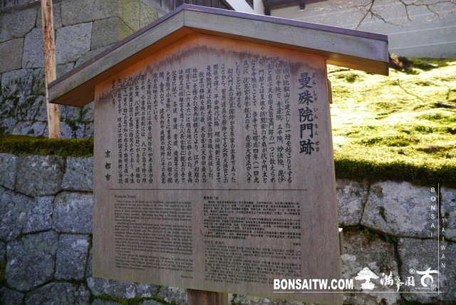 P1050030 [日本庭園]曼殊院門跡(1) 日本庭園(Japanese Garden)