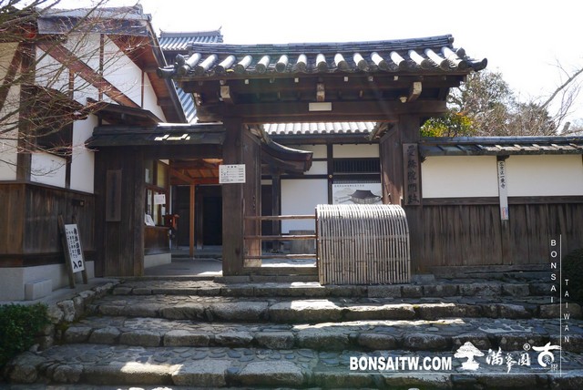 P1050033 [日本庭園]曼殊院門跡(1) 日本庭園(Japanese Garden)