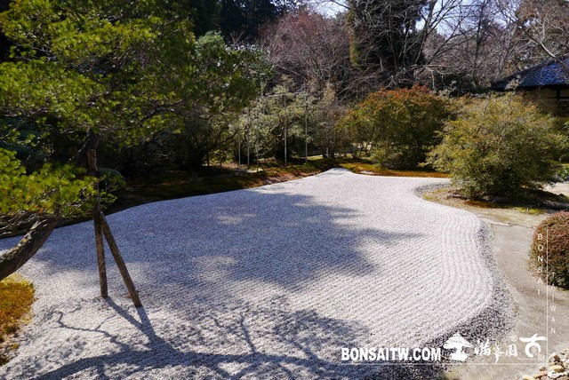 P1050060 [日本庭園]曼殊院門跡(1) 日本庭園(Japanese Garden)