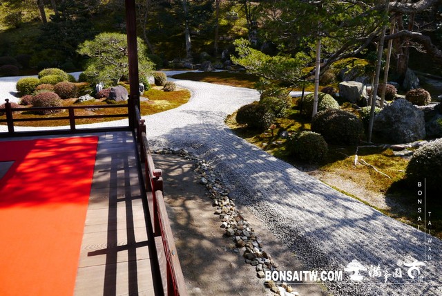 P1050066 [日本庭園]曼殊院門跡(1) 日本庭園(Japanese Garden)
