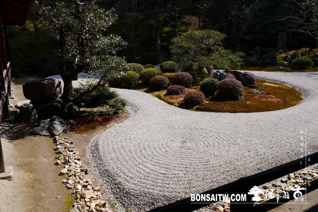 P1050074 [日本庭園]曼殊院門跡(1) 日本庭園(Japanese Garden)