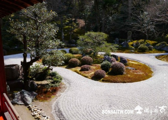 P1050077 [日本庭園]曼殊院門跡(1) 2013
