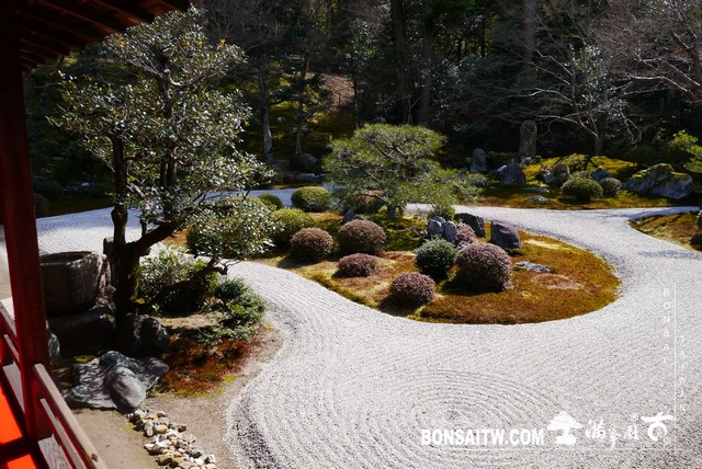 P1050077 [日本庭園]曼殊院門跡(1) 日本庭園(Japanese Garden)