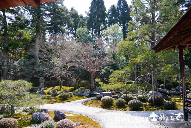 P1050084 [日本庭園]曼殊院門跡(1) 日本庭園(Japanese Garden)