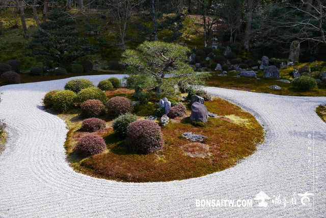 P1050085 [日本庭園]曼殊院門跡(2)
