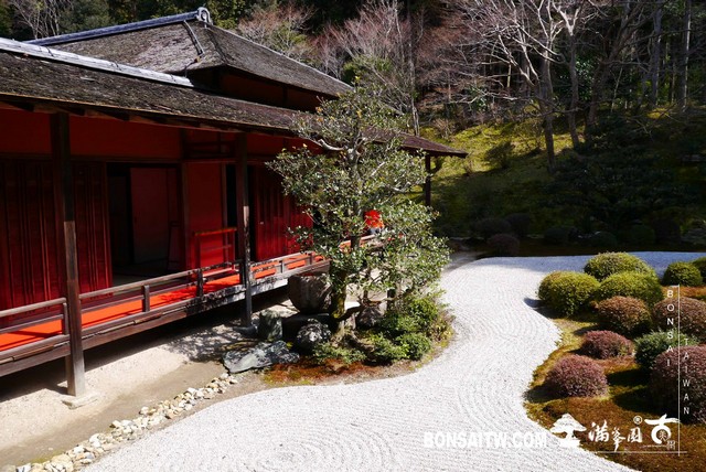 P1050086 [日本庭園]曼殊院門跡(2)