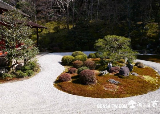 P1050088 [日本庭園]曼殊院門跡(2) 2013