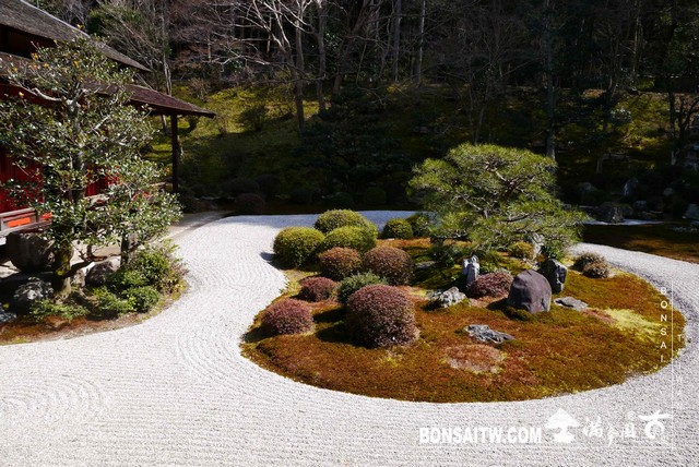 P1050088 [日本庭園]曼殊院門跡(2)