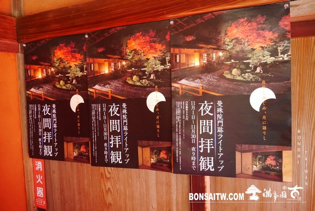 P1050089 [日本庭園]曼殊院門跡(2)