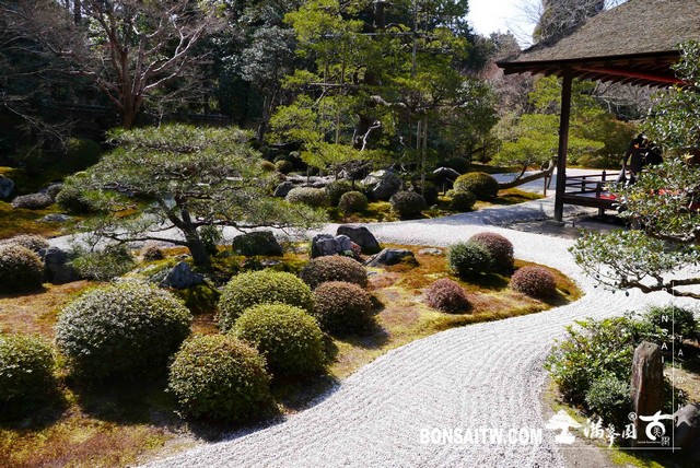 P1050090 [日本庭園]曼殊院門跡(2)