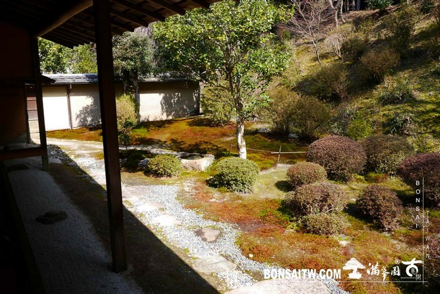 P1050099 [日本庭園]曼殊院門跡(2)