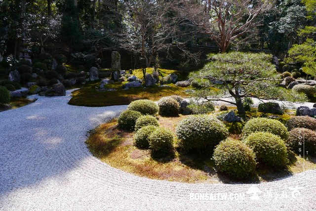 P1050123 [日本庭園]曼殊院門跡(2)