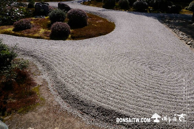 P1050127 [日本庭園]曼殊院門跡(2)