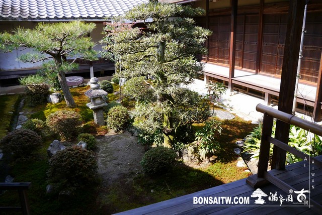 P1050178 [日本庭園]曼殊院門跡(2)