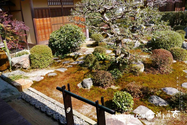 P1050186 [日本庭園]曼殊院門跡(2)