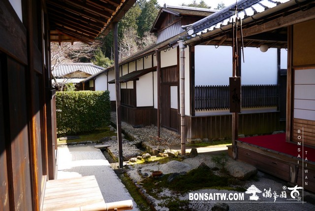 P1050191 [日本庭園]曼殊院門跡(2)