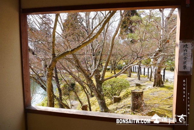 P1050428 [日本庭園]永觀堂．禪林寺(1)