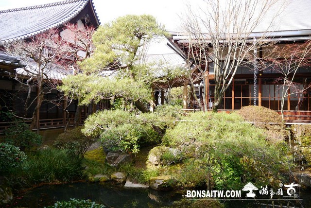 P1050507 [日本庭園]永觀堂．禪林寺(1)