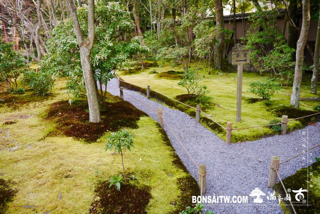 P1100010 [日本庭園]無鄰菴