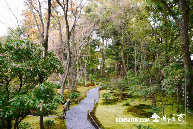P1100015 [日本庭園]無鄰菴