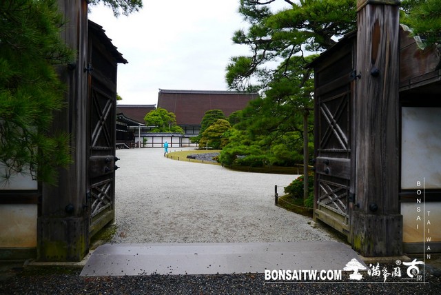 P1220751 [日本庭園]京都御所．皇居庭園(2)
