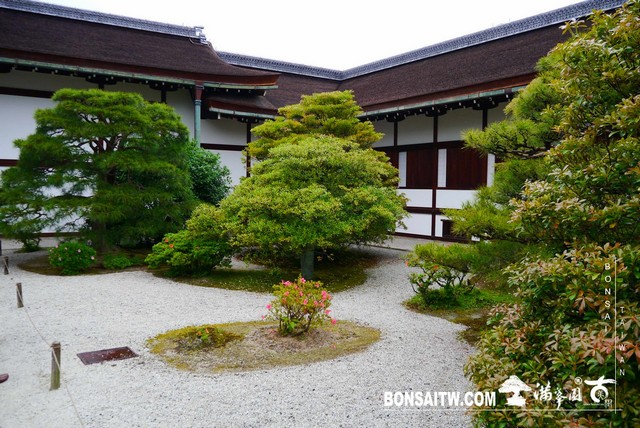 P1220755 [日本庭園]京都御所．皇居庭園(2)