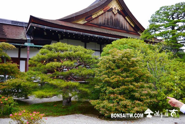 P1220756 [日本庭園]京都御所．皇居庭園(2)