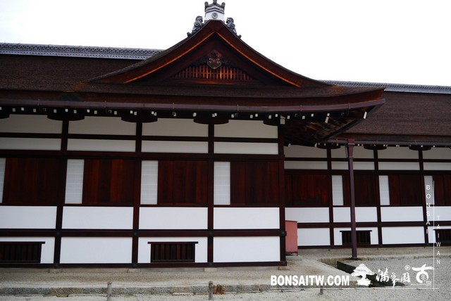 P1220776 [日本庭園]京都御所．皇居庭園(2)