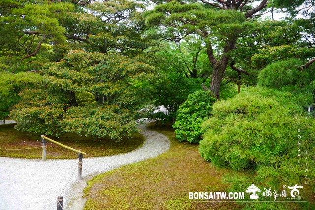 P1220850 [日本庭園]京都御所．皇居庭園(2)