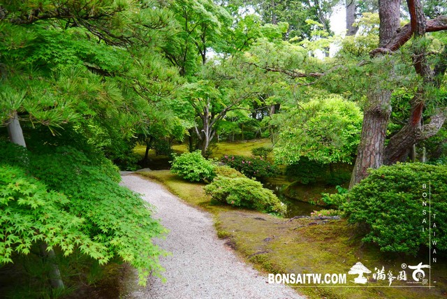 P1220861 [日本庭園]京都御所．皇居庭園(2)