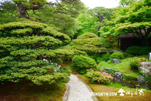 P1220917 [日本庭園]京都御所．皇居庭園(2)