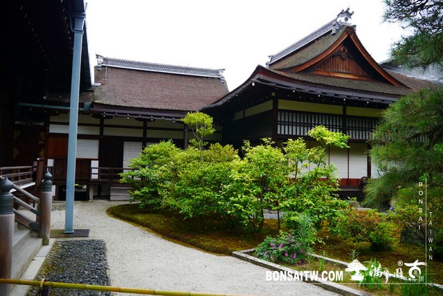 P1220919 [日本庭園]京都御所．皇居庭園(2)