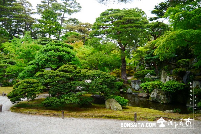 P1220937 [日本庭園]京都御所．皇居庭園(2)