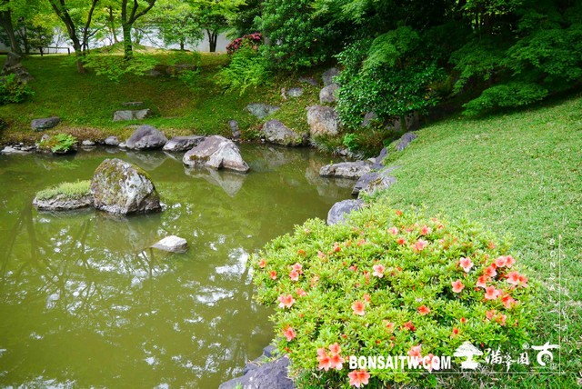 P1230146 [日本庭園]仙洞御所．皇居庭園(1)