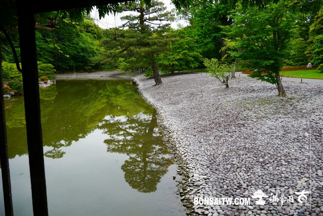 P1230223 [日本庭園]仙洞御所．皇居庭園(1)