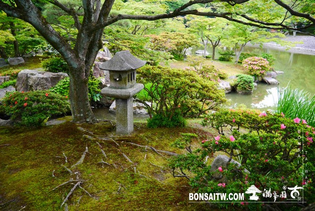 P1230236 [日本庭園]仙洞御所．皇居庭園(1)