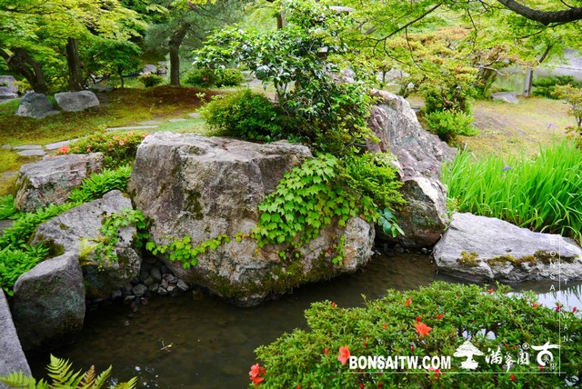 P1230238 [日本庭園]仙洞御所．皇居庭園(1)