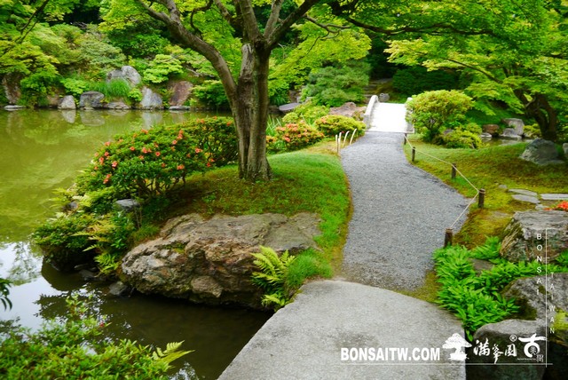 P1230239 [日本庭園]仙洞御所．皇居庭園(1)