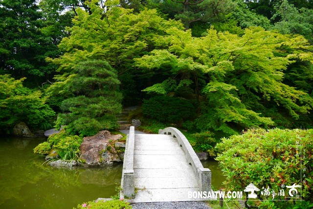 P1230242 [日本庭園]仙洞御所．皇居庭園(1)