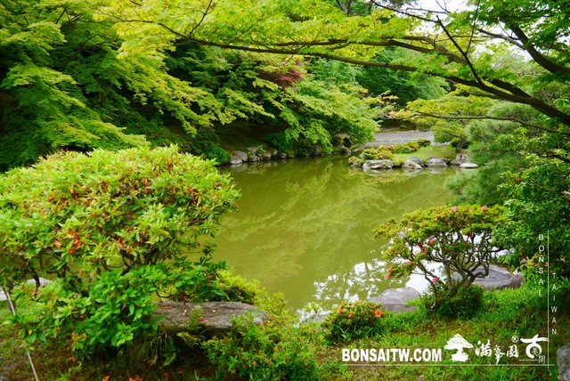 P1230246 [日本庭園]仙洞御所．皇居庭園(2)
