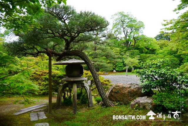 P1230250 [日本庭園]仙洞御所．皇居庭園(2)