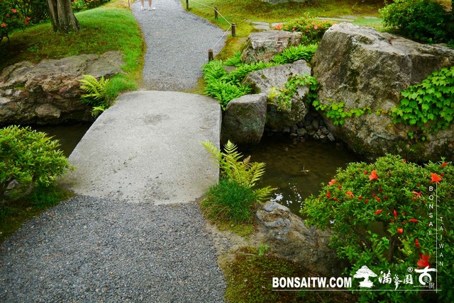 P1230254 [日本庭園]仙洞御所．皇居庭園(2)