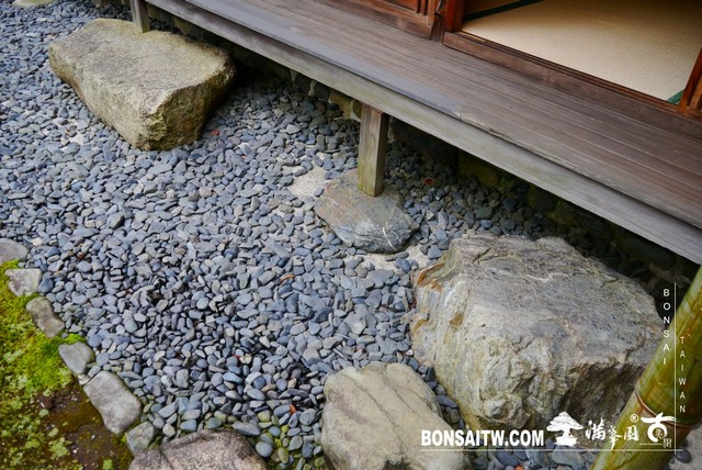 P1230275 [日本庭園]仙洞御所．皇居庭園(2)