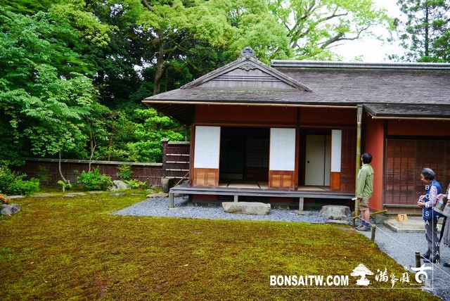P1230280 [日本庭園]仙洞御所．皇居庭園(2)