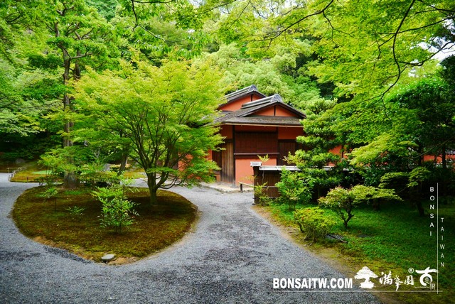 P1230307 [日本庭園]仙洞御所．皇居庭園(2)