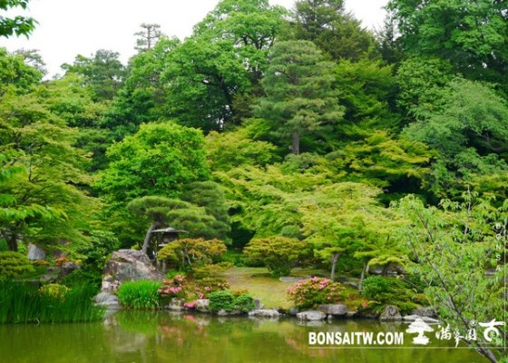 P1230330 [日本庭園]仙洞御所．皇居庭園(2) 日本庭園(Japanese Garden)