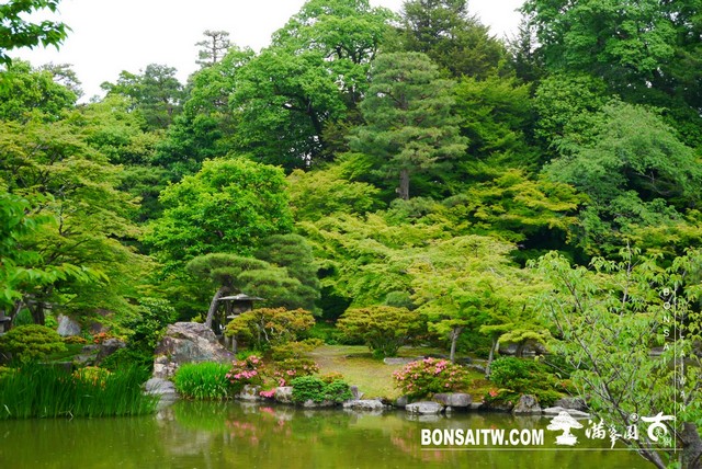 P1230330 [日本庭園]仙洞御所．皇居庭園(2)
