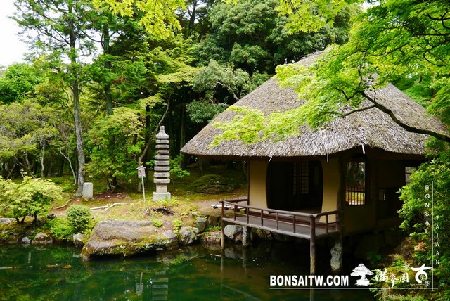 P1240653 [日本庭園]白沙村莊橋本關雪紀念館